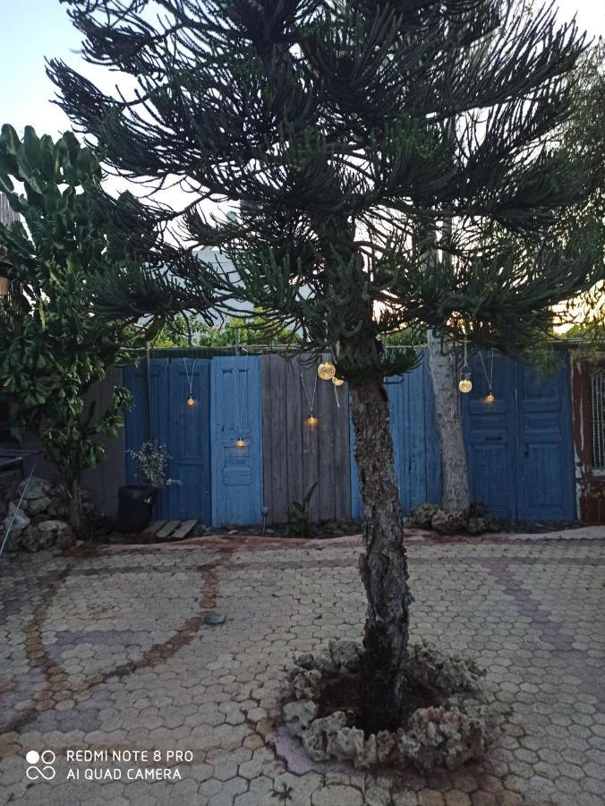 Cactus Home Kalamaki  Exterior foto